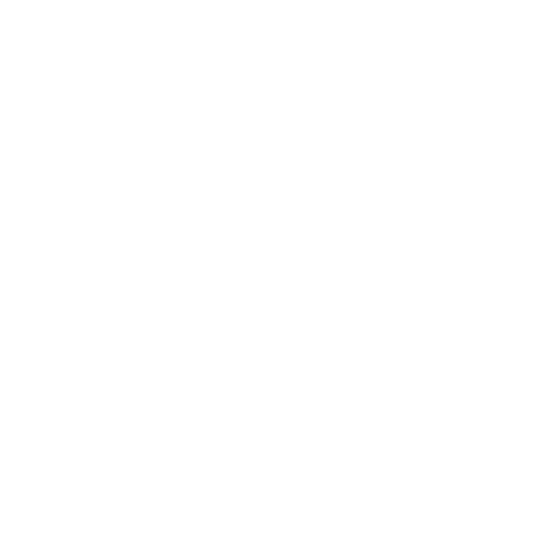 waidonu logo